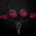 Seductive Romance Leopard Bra & panty set