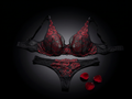 ⁠Haunted Elegance: Vampire Bloodline Lace Lingerie⁠